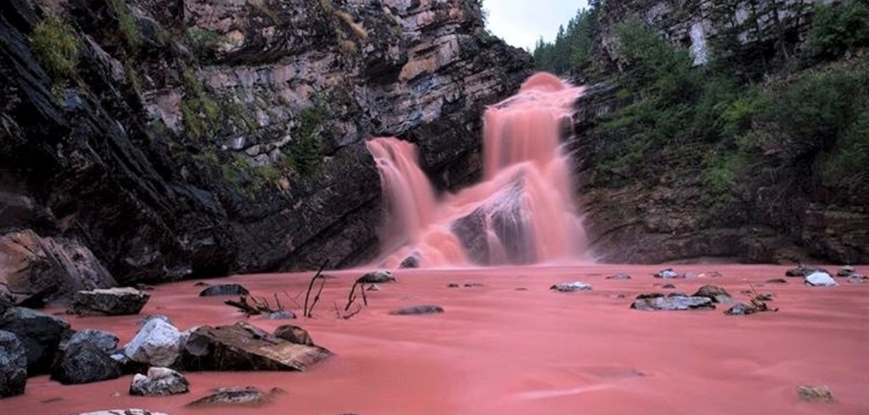 Pink waterfall