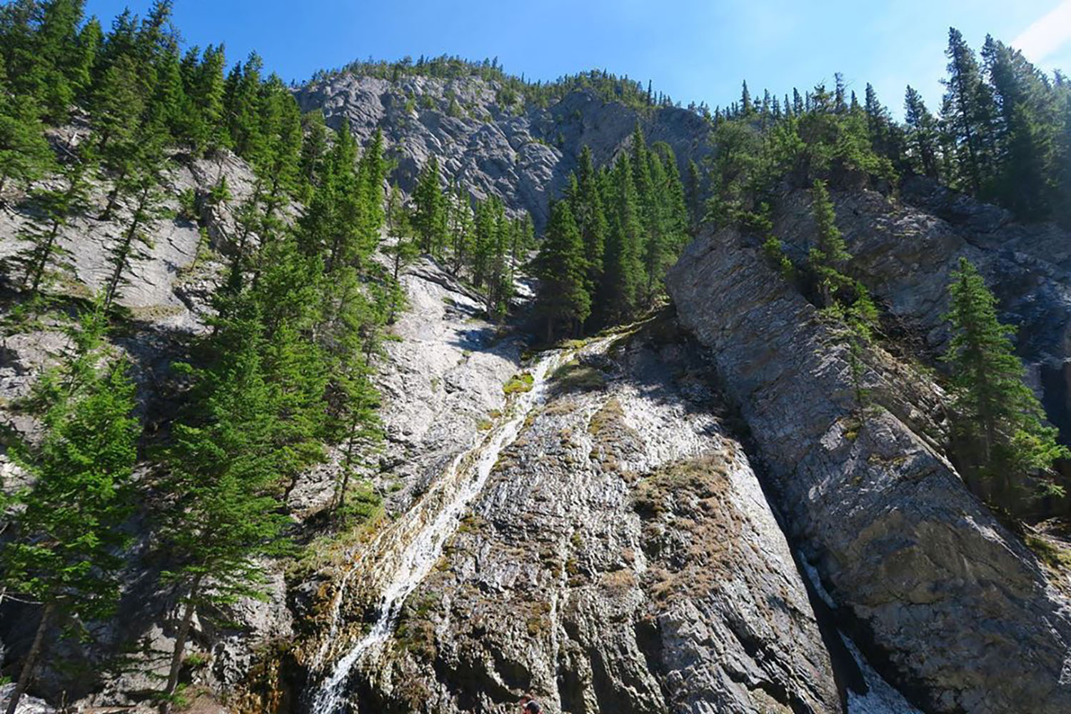 heart creek trail 8 of the most breathtaking hikes near Calgary