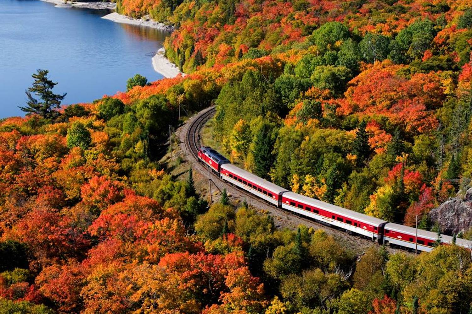 This stunning train tour is the best way to see fall colours in Ontario -  Curiocity