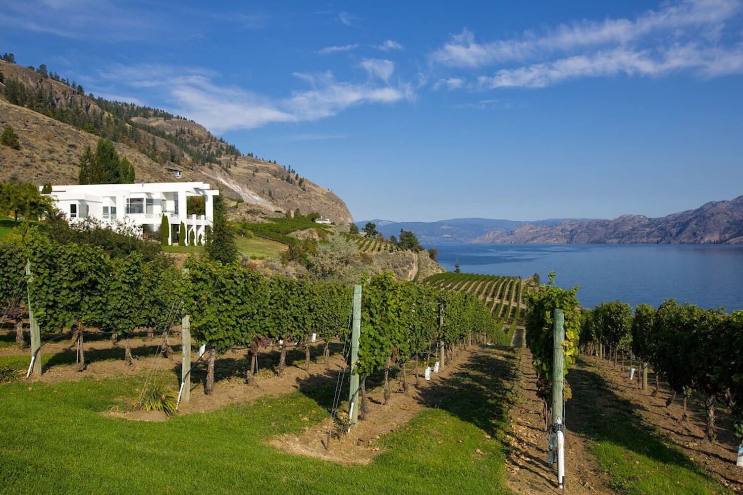 lakefront winery villa