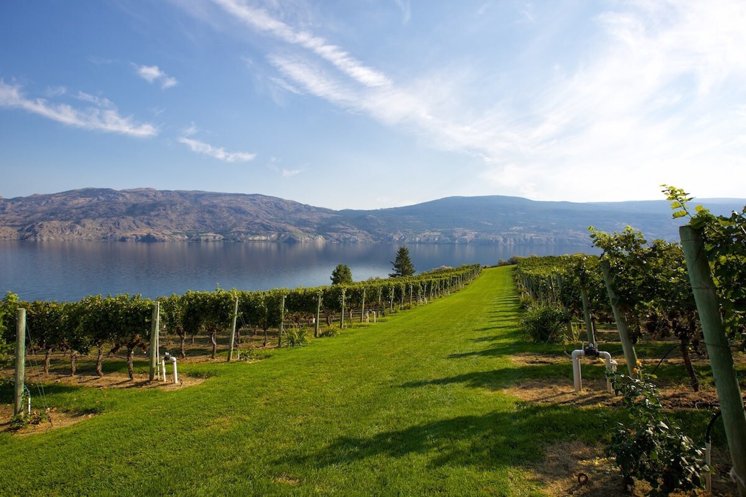lakefront winery villa