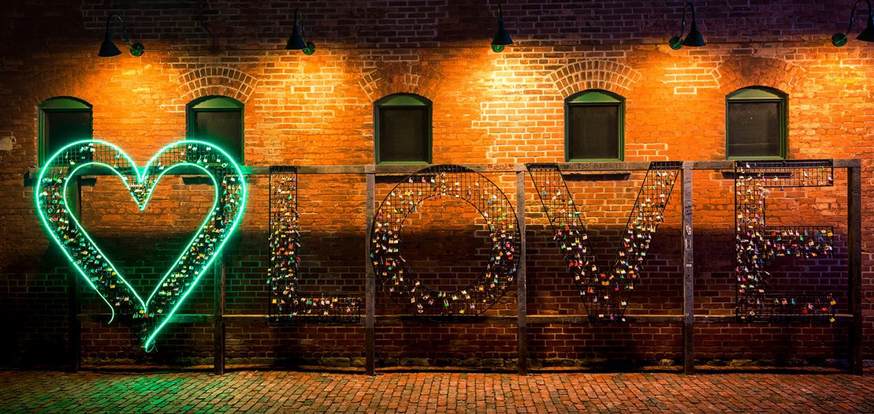 the distillery district