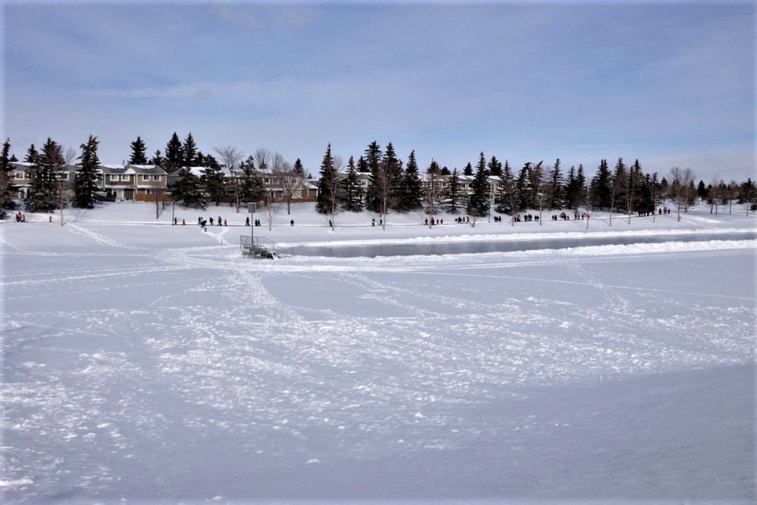 10 best places to skate in calgary