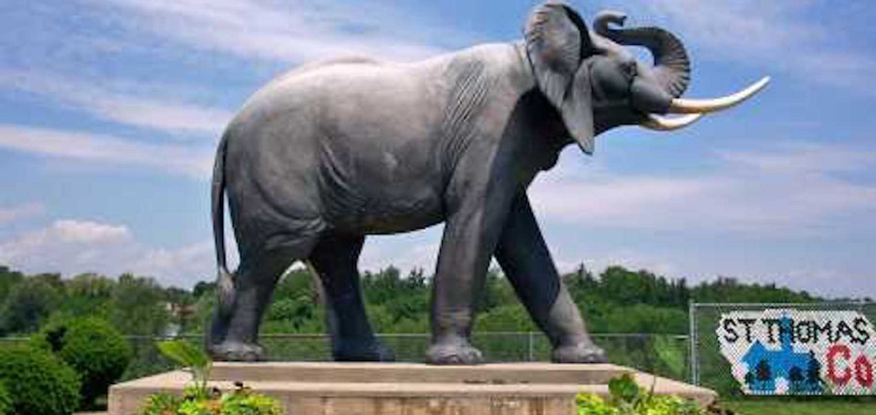 jumbo the elephant