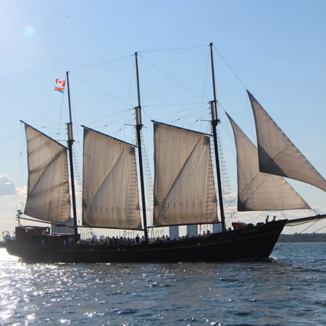 tallship boat cruises