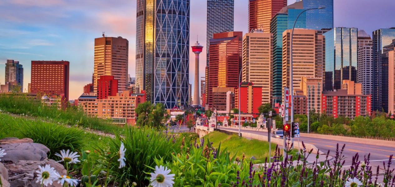 10 Socially-Distant Things To Do In Calgary This Long Weekend (April 1-4)