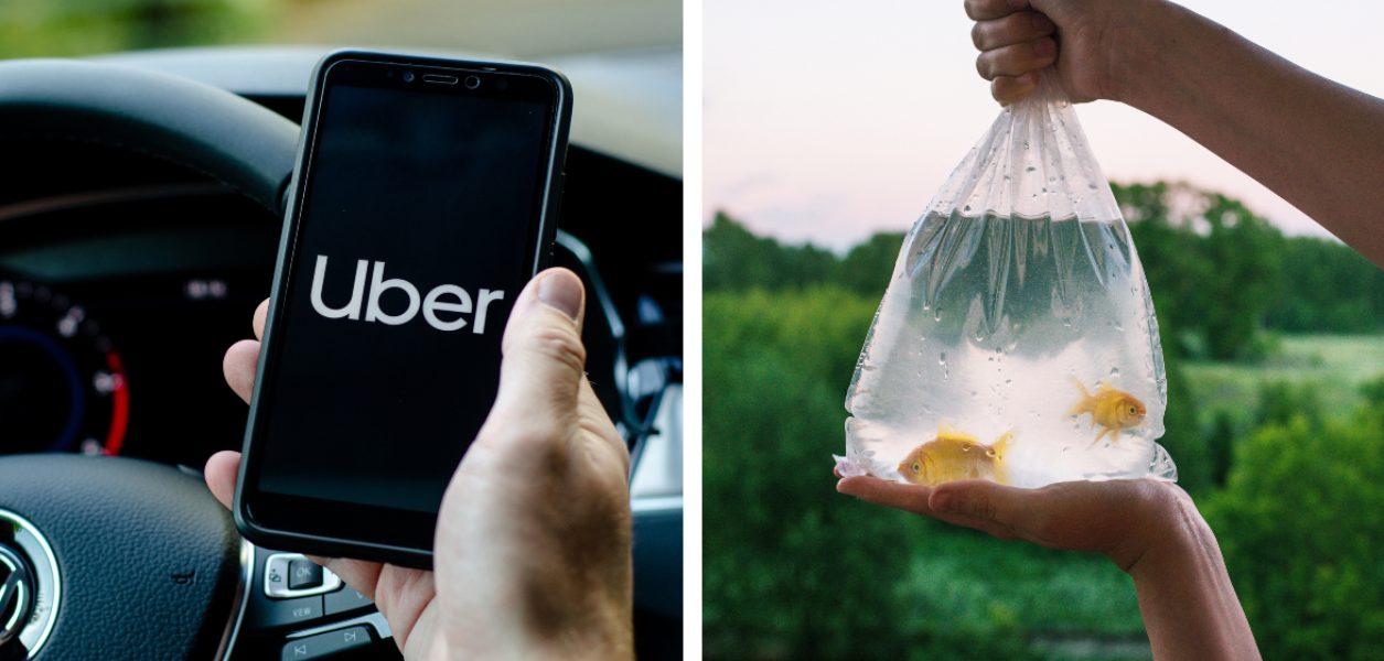 Poutine & a fish among Uber Canada's 'most unique lost items' list for 2021