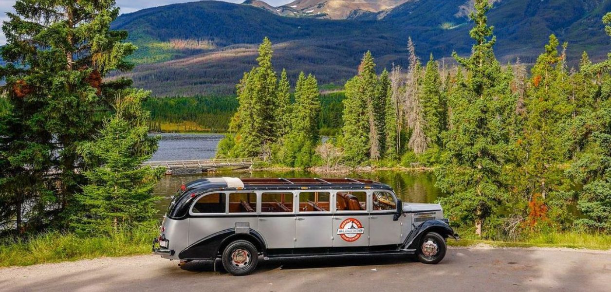 You can tour Jasper National park in vintage open-top vehicle this summer
