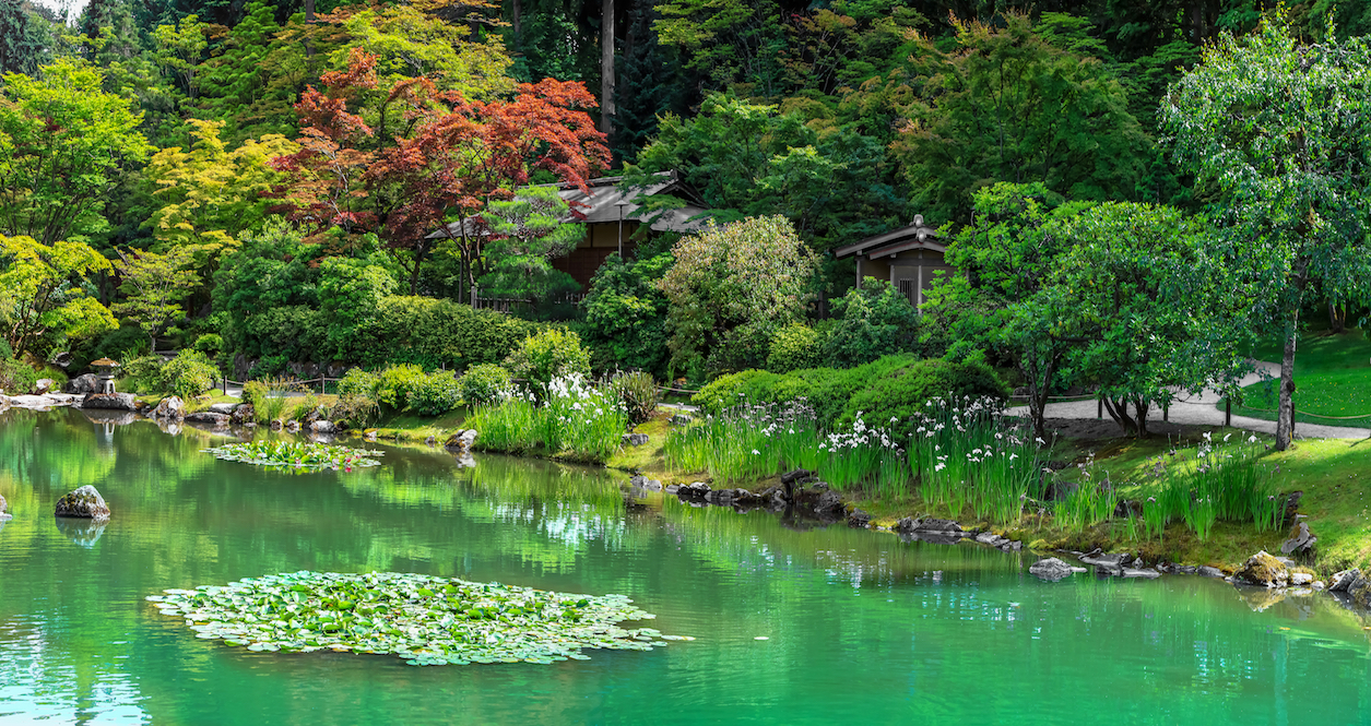 15 of the most beautiful gardens to explore in & around Seattle