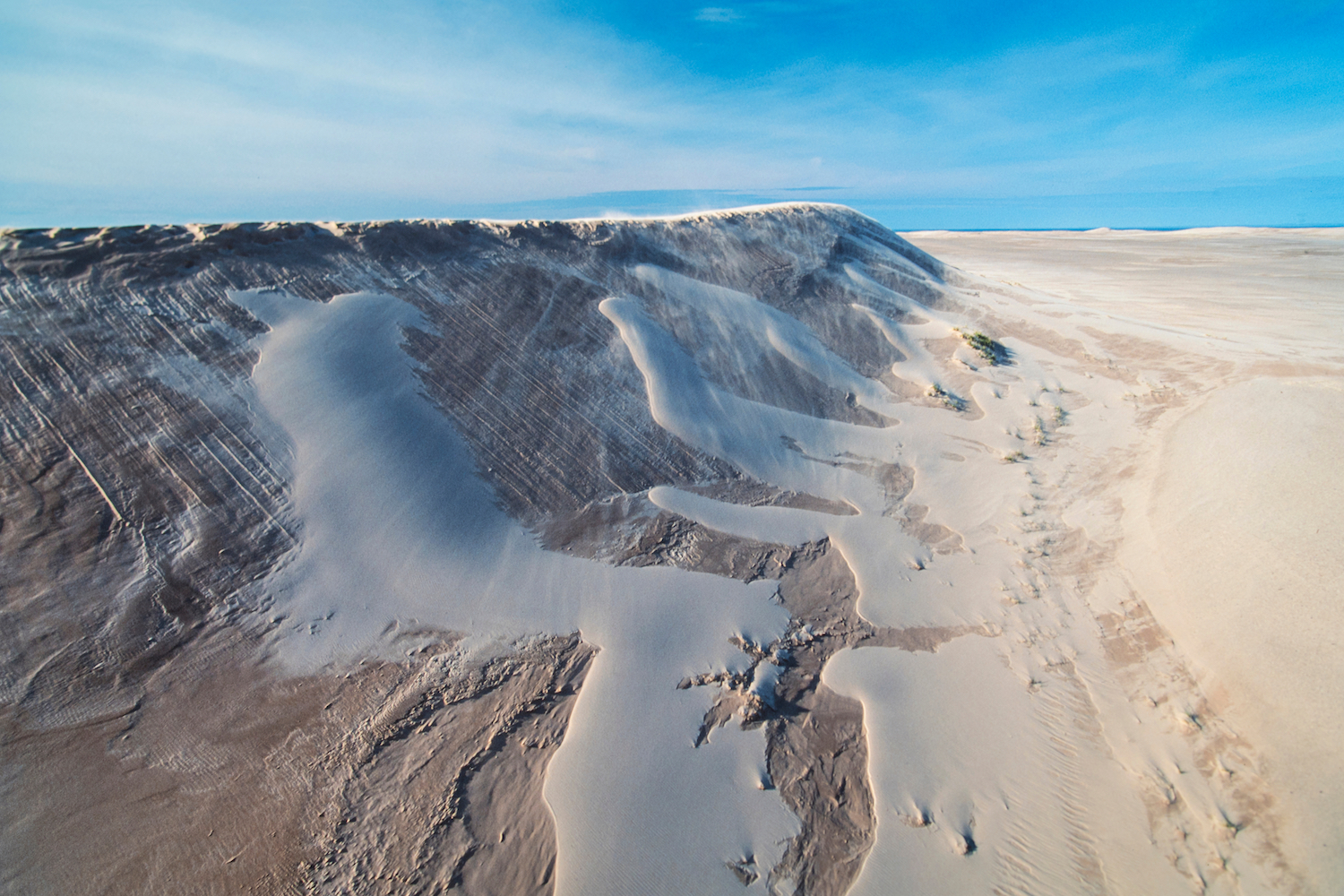 Athabasca Sand Dunes