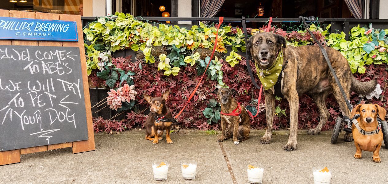 dog-friendly patios vancouver uncle abe's