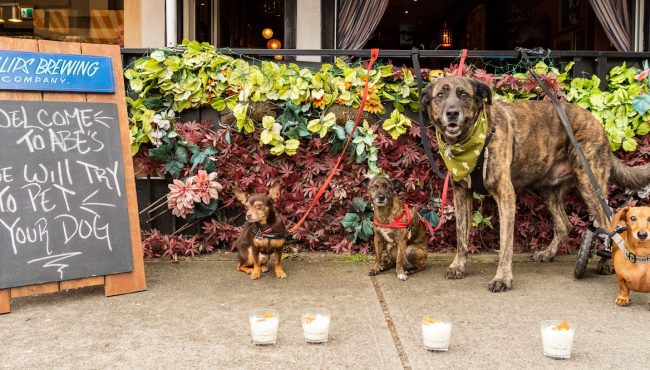 dog-friendly patios vancouver uncle abe's