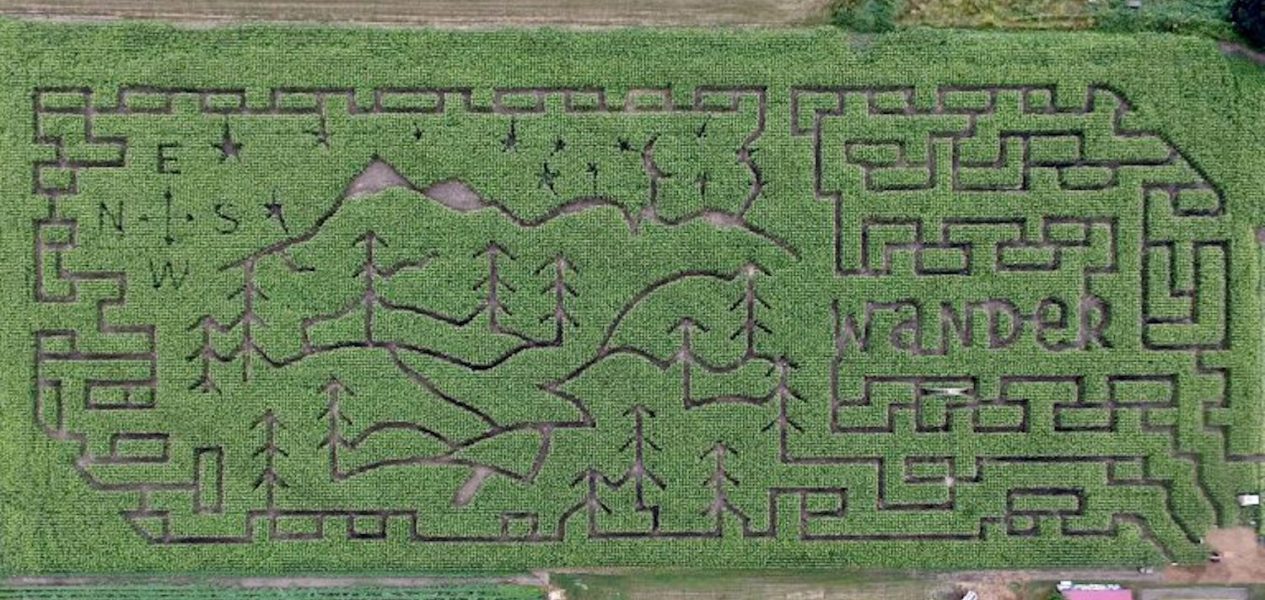chilliwack corn maze