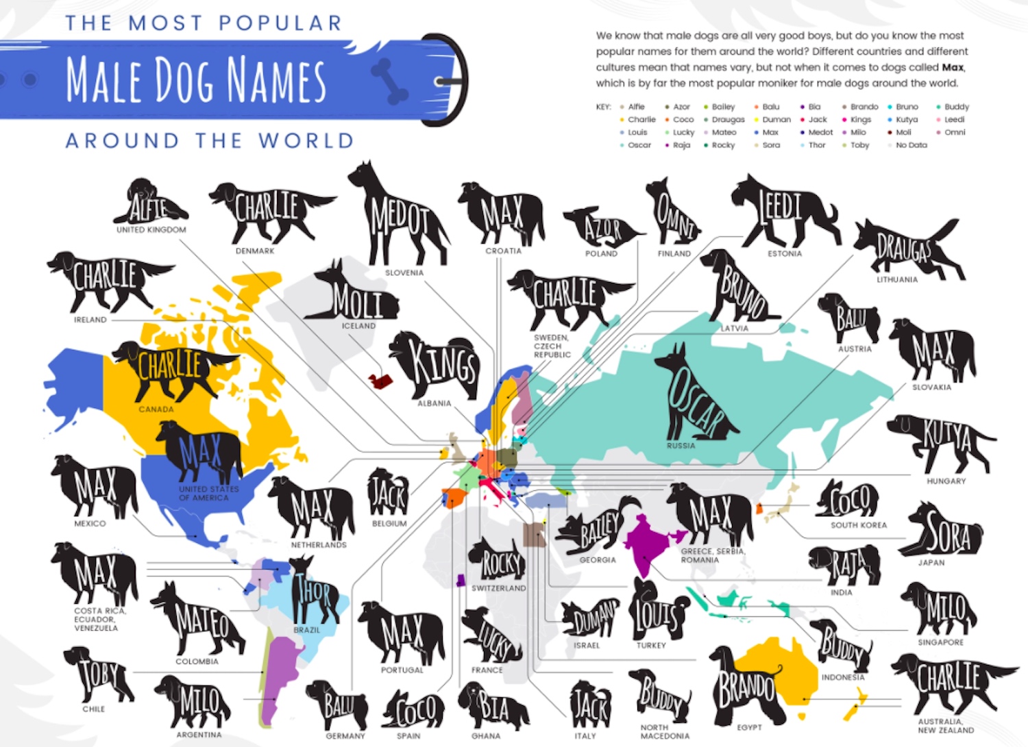 dog names canada