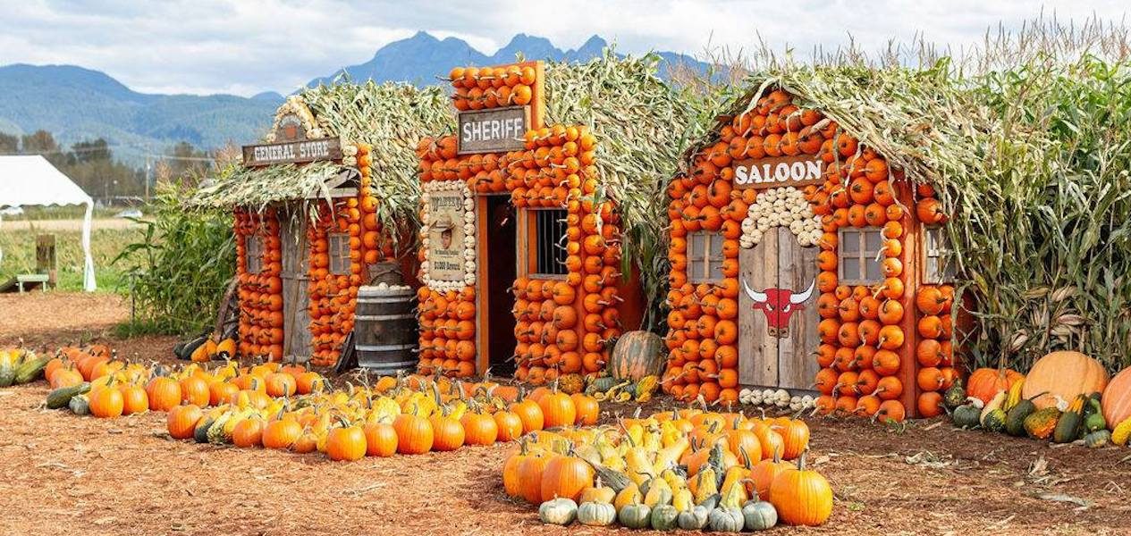 pumpkin town