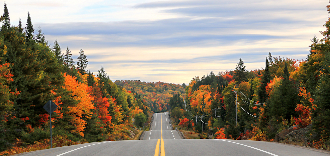 fall drives in ontario