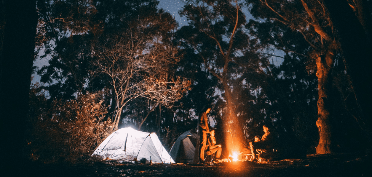 alberta parks camping