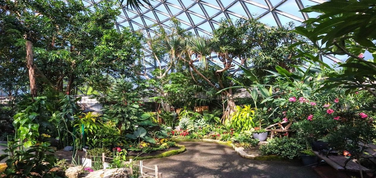 bloedel conservatory things to do in vancouver this weekend