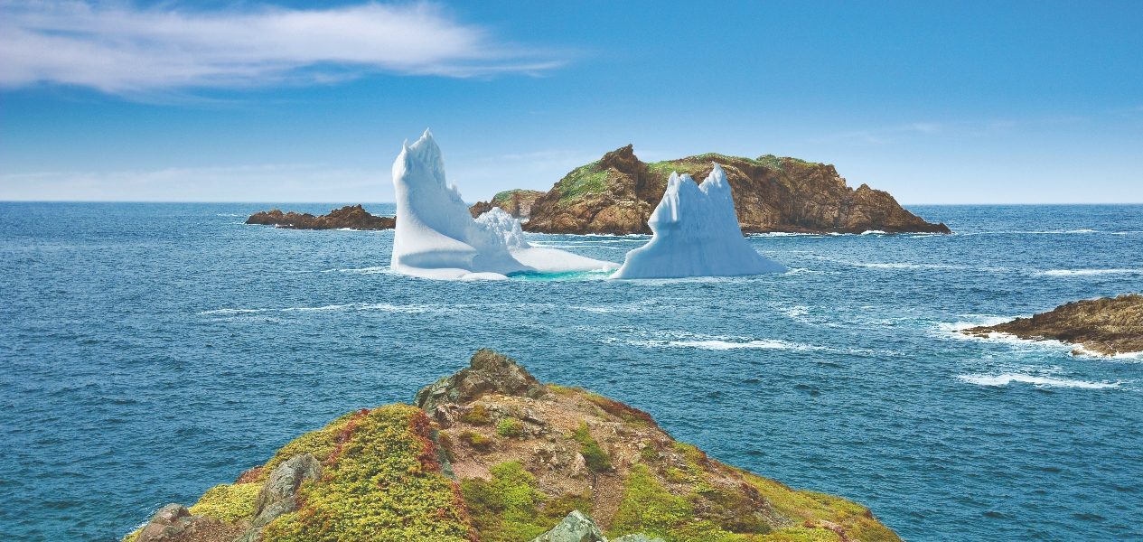Iceberg St. John's Newfoundland