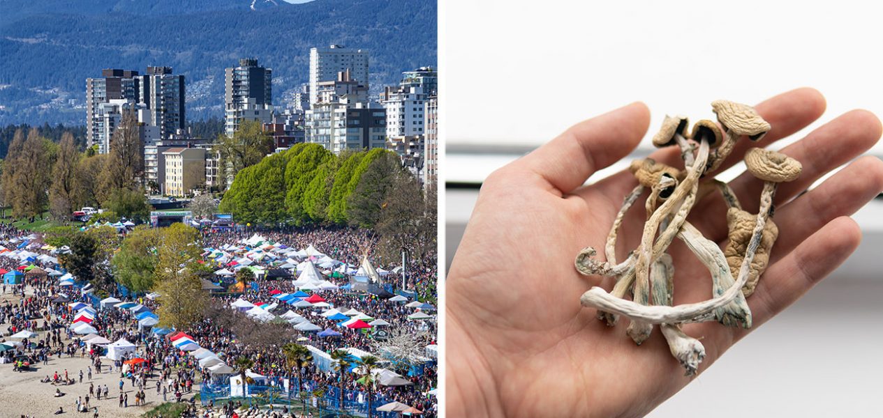person holding magic mushrooms 4/20 vancouver