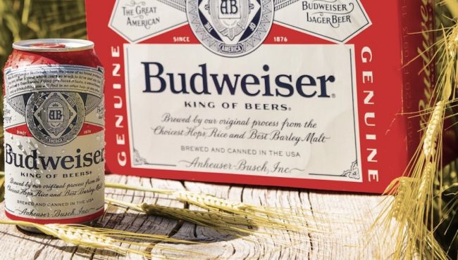 budweiser free beers edmonton