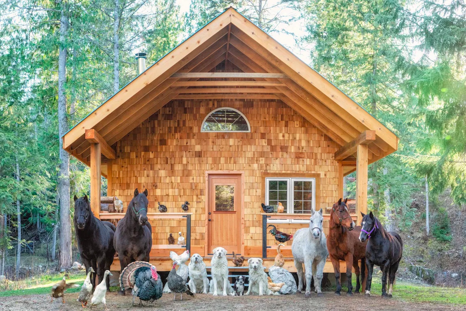 farm stay airbnb bc