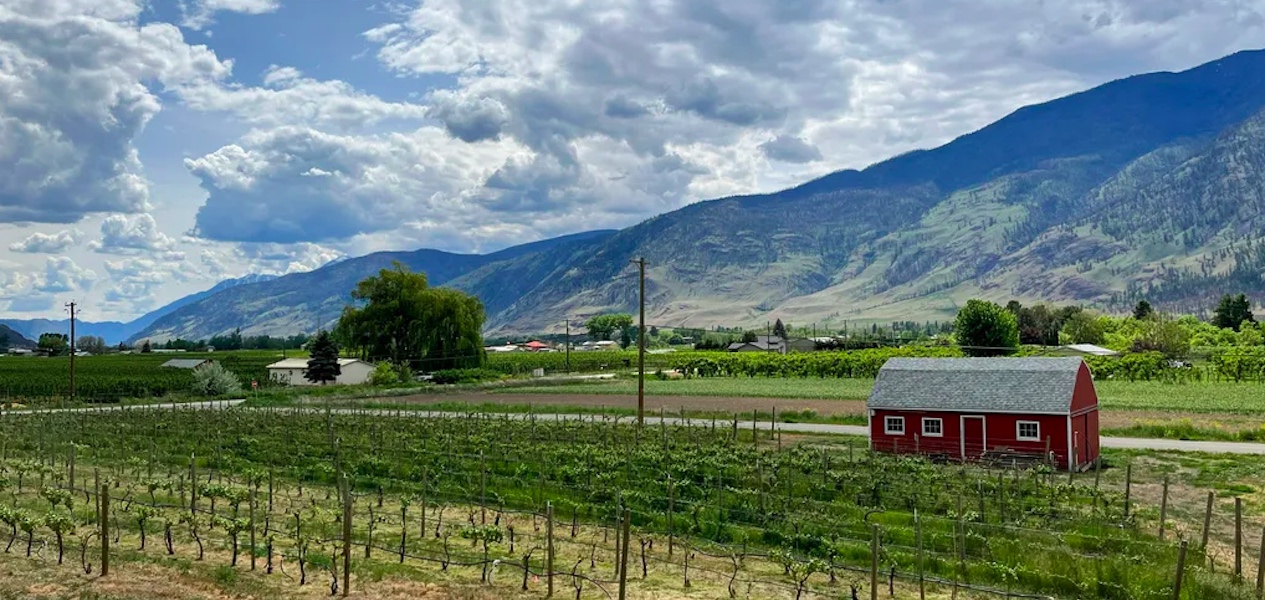 bc vineyard for sale