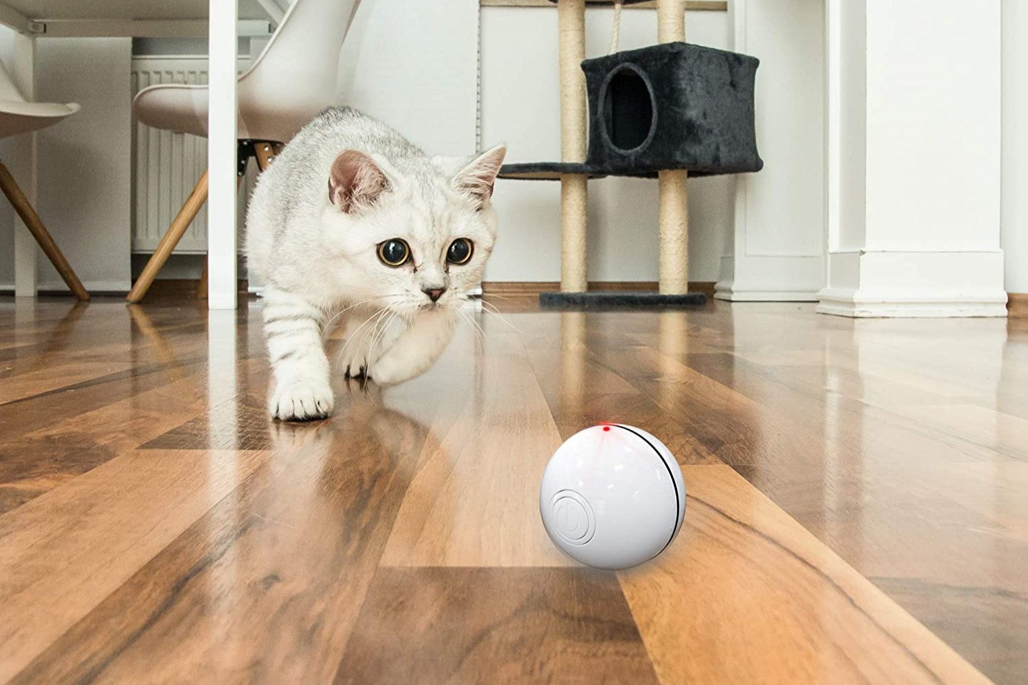 Delomo Interactive Cat Toy Ball, viral pet accessories