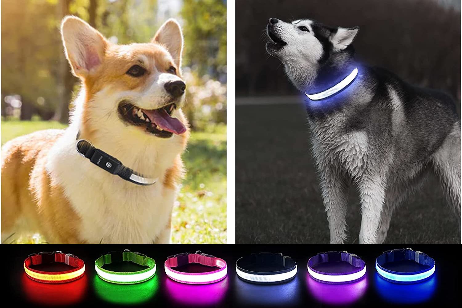 PcEo Tllar LED Dog Collar