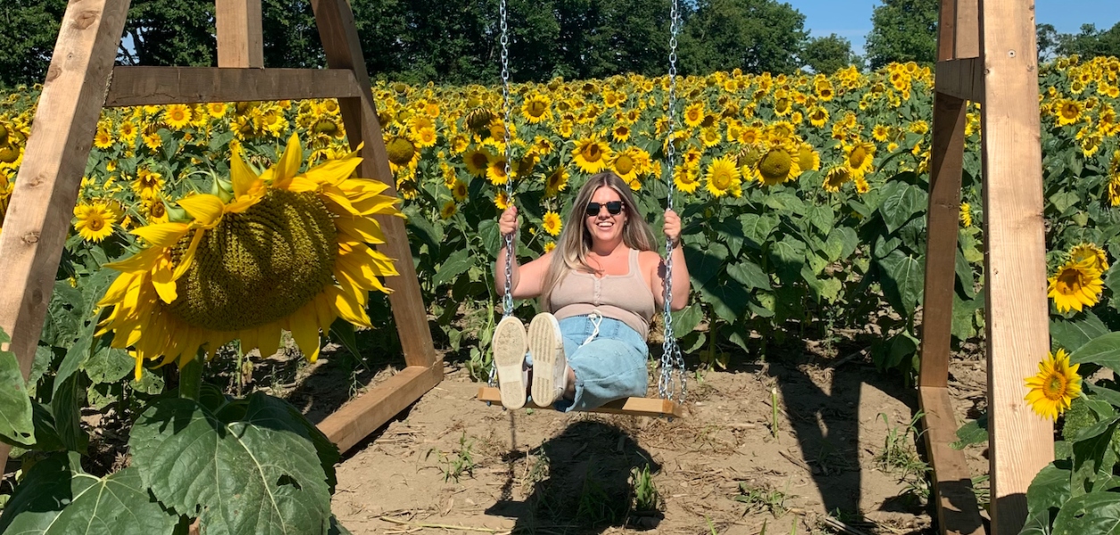 sunflower experience pingle's farm