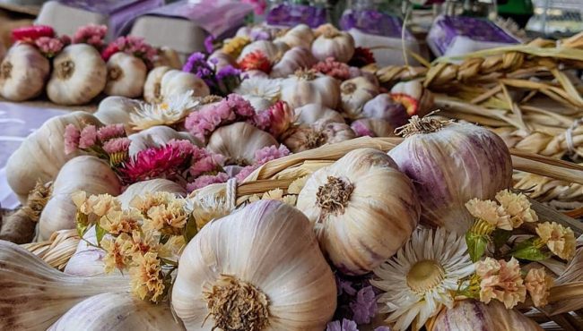 richmond garlic festival 2022