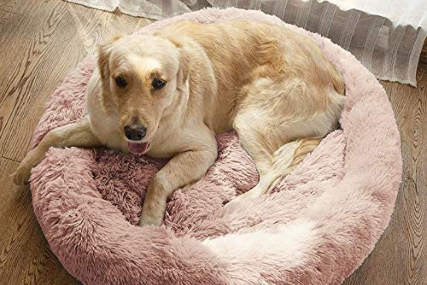 Calming Dog Bed, Amazon Deals, Prime Early Access Sale