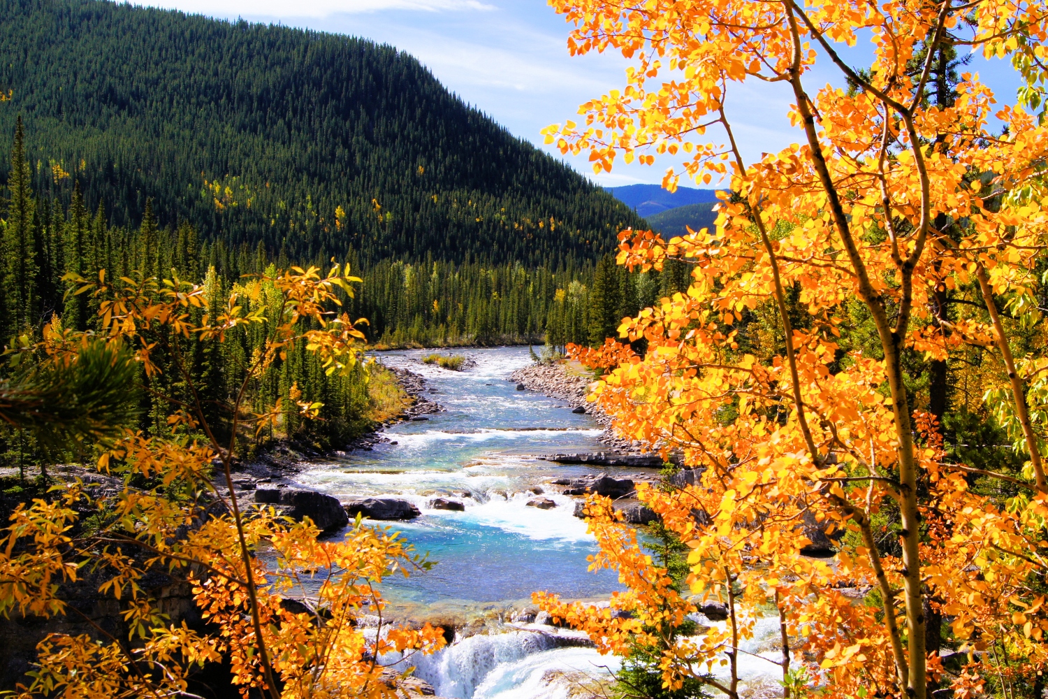 bragg creek autumn