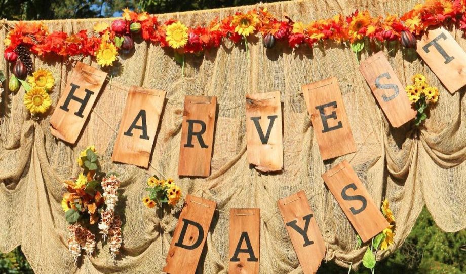 harvest days festival vancouver