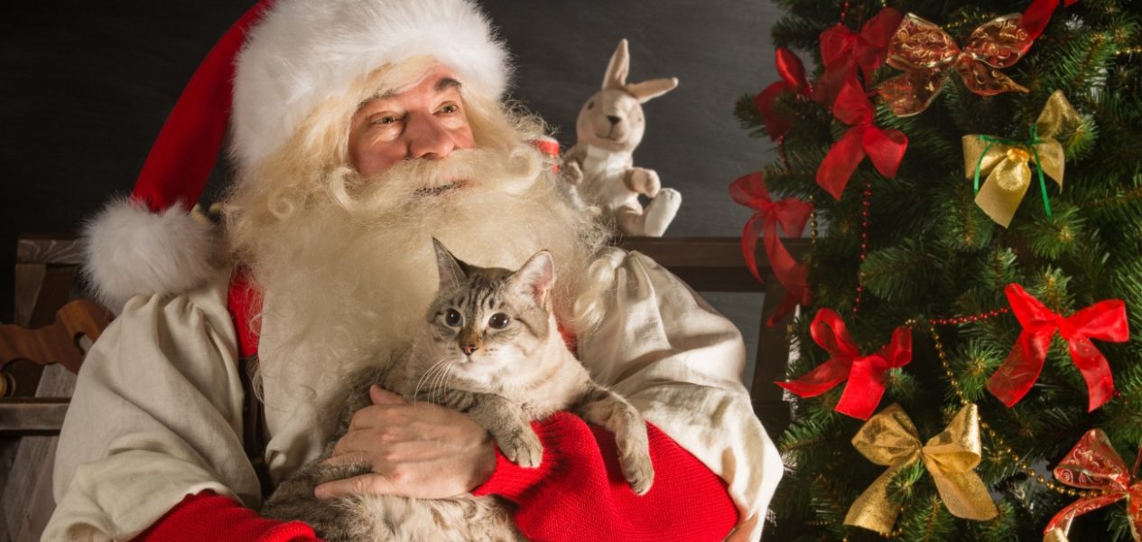 free pet photos with santa