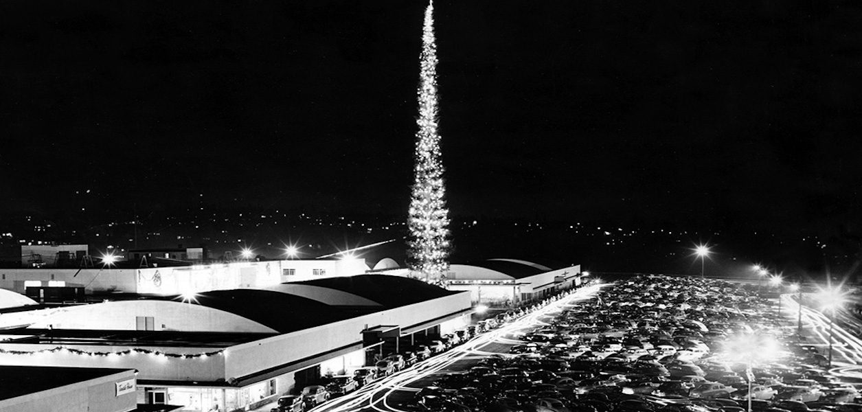 world's tallest christmas tree