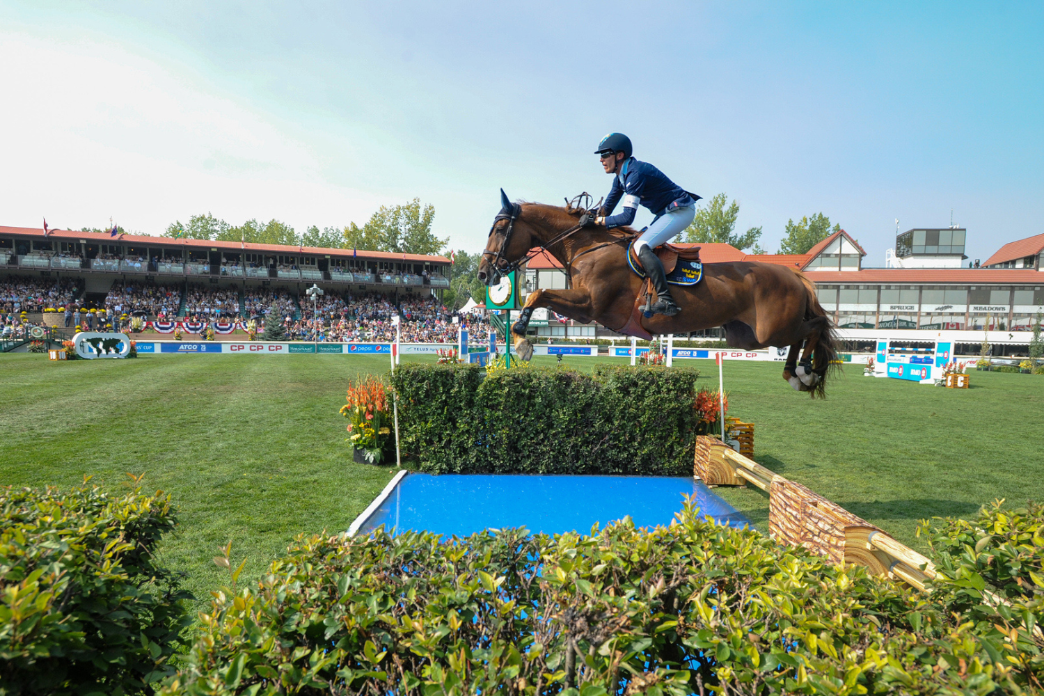 Spruce Meadows National