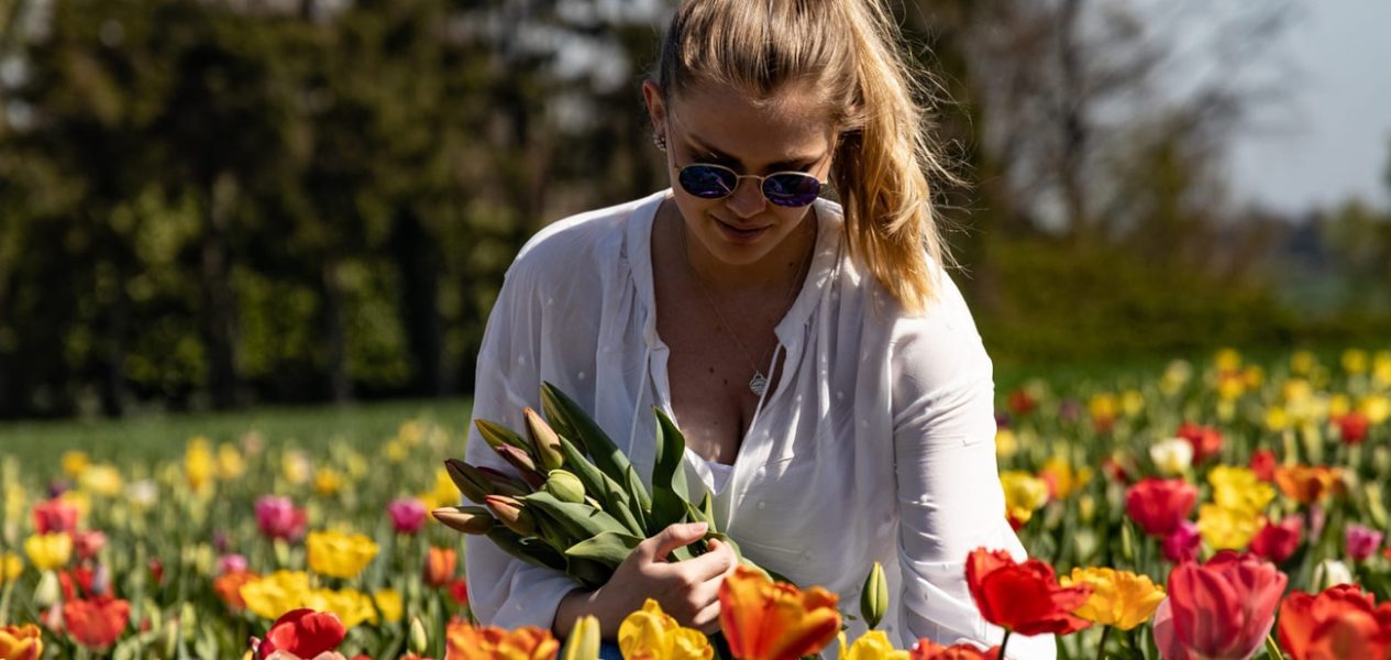 pick-your-own flower farms near Toronto