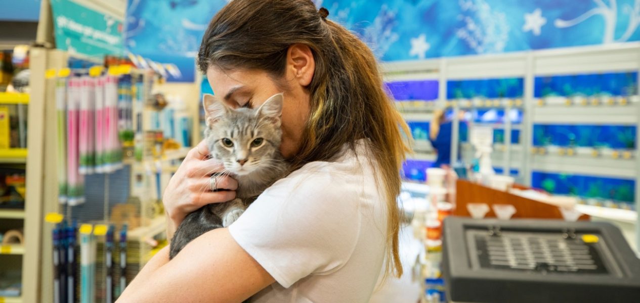 cat and kitten adoption events in Toronto