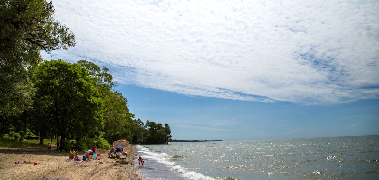 holiday beach conservation area