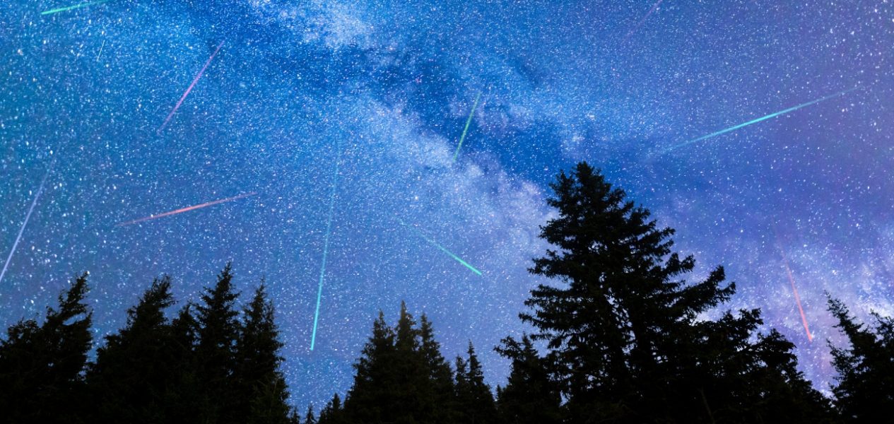 where to watch the perseids meteor shower in toronto