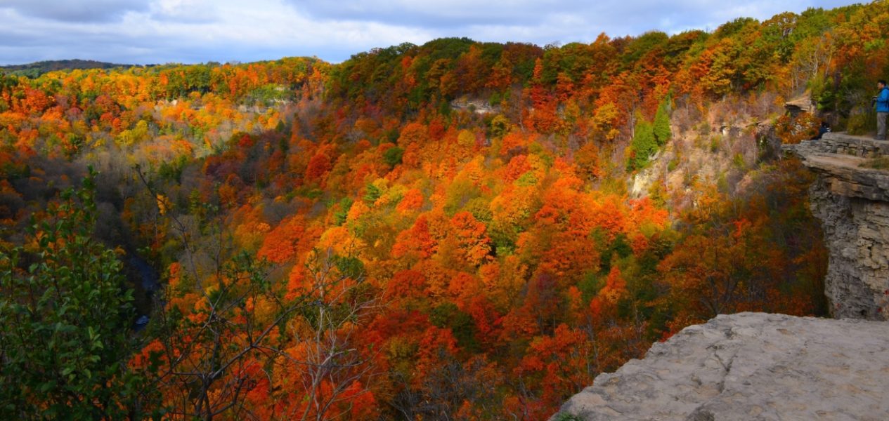 best places to see fall colours in ontario