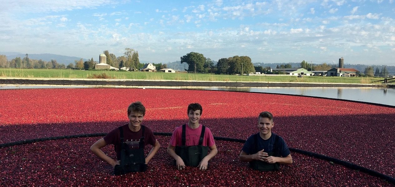 cranberry season vancouver