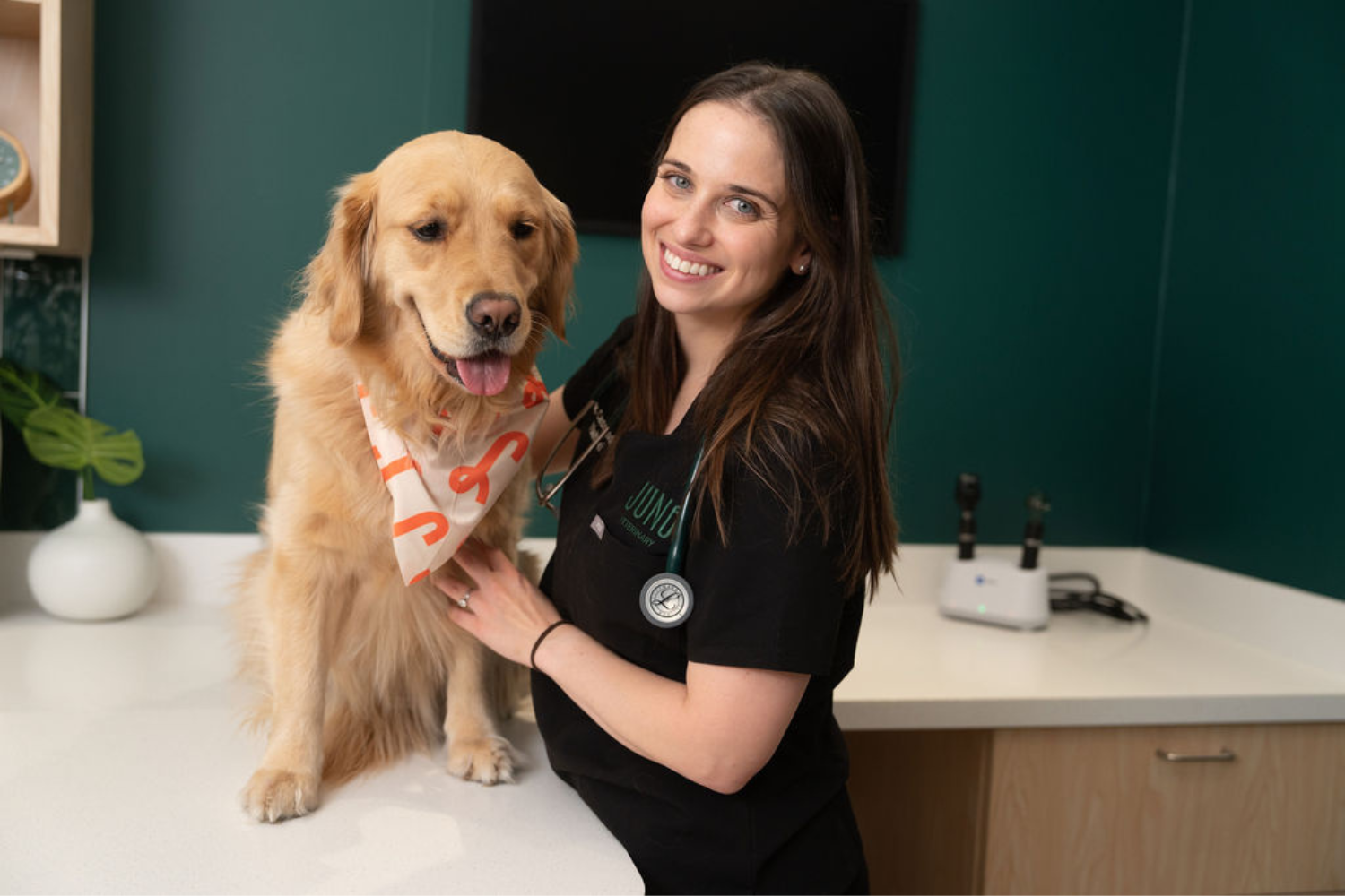Ridefinire l’assistenza veterinaria a Toronto: conosci Juno Vet