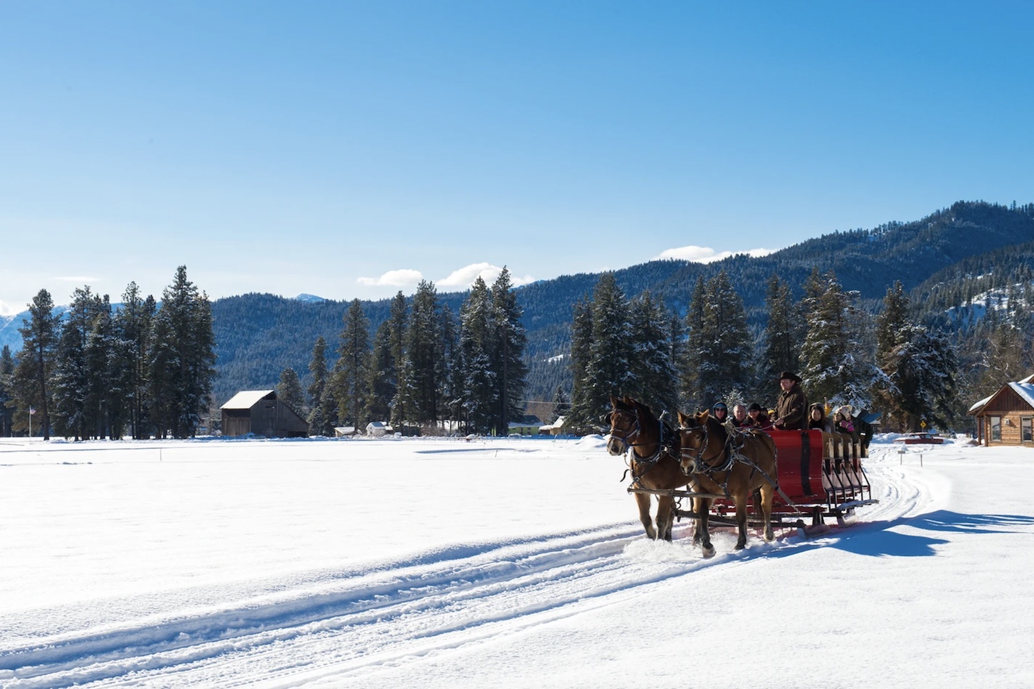 Leavenworth sleigh rides