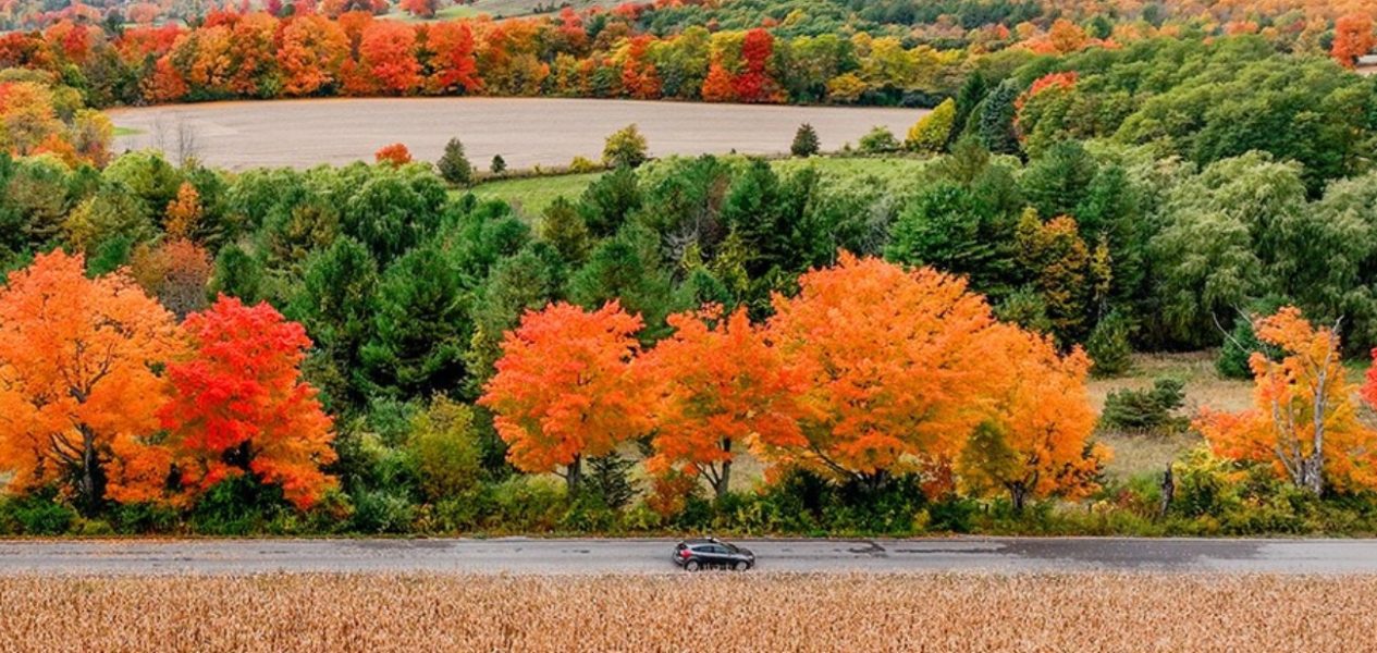 fall drive in ontario