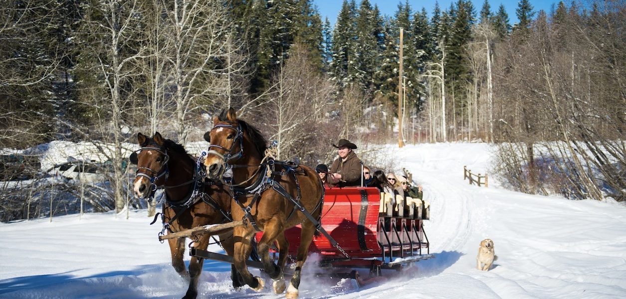 Leavenworth sleigh rides