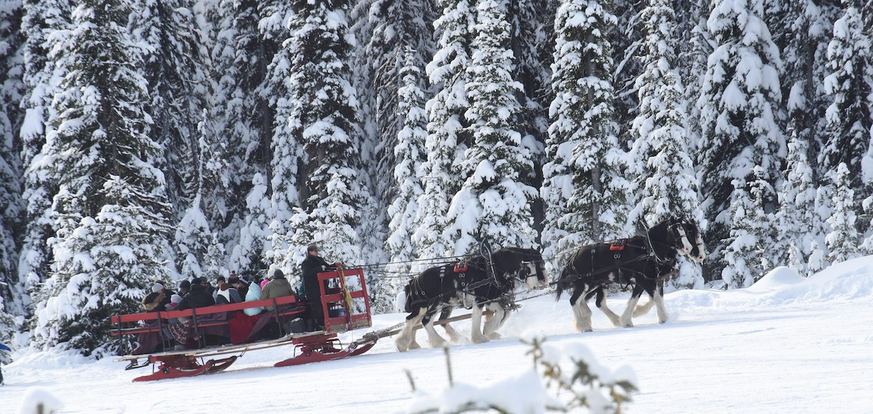 holiday sleigh rides bc