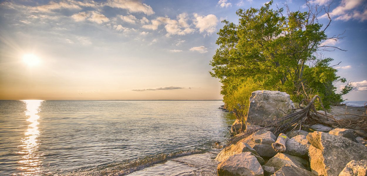 point pelee national park