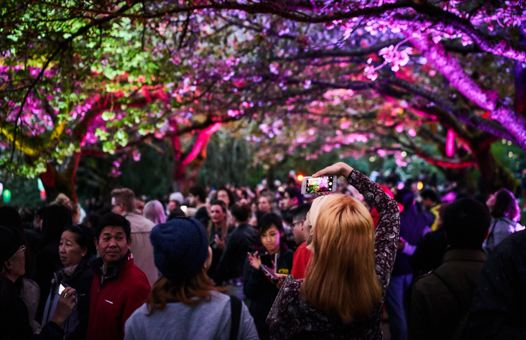 blossoms after dark vancouver 2024